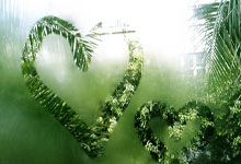 外交部：中国正同泰国、缅甸等国家合作共同铲除网赌电诈的毒瘤.